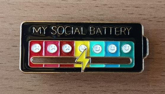 a photo of the pin